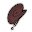 Snails